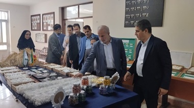 ظرفیت‌های راهبردی مرکز تحقیقات ابریشم کشور روی میز نماینده مجلس