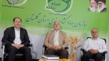 تبیین راهکارهای توسعه علوفه‌های کم‌آب‌بر تابستانه و پاییزه در شبکه برکت