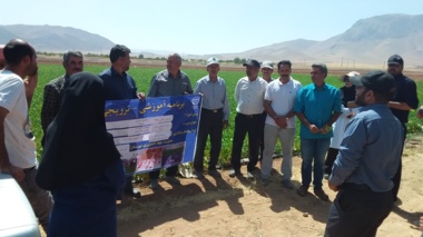 برگزاری روز مزرعه لوبیا با محوریت کشت روی پشته‌های عریض و آبیاری تیپ زیرسطحی در روستای ده سفیدخمین