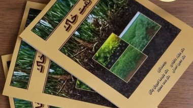 «سلامت خاک»؛ راهنمای جامع برای کشاورزی احیاکننده در ایران منتشر شد