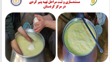مستندسازی و ثبت مراحل تهیه پنیر کردی در مرکز تحقیقات کردستان