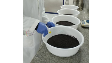 پودر سیر؛ راهکاری طبیعی برای بهبود رشد و تقویت ایمنی فیل‌ماهیان