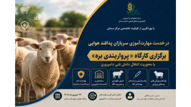برگزاری کارگاه «پرواربندی بره» با محوریت انتقال دانش فنی دامپروری
