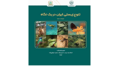 انتشار ویراست دوم کتاب «تنوع زیستی ایران در یک نگاه»؛ راهنمای جامع سیاست‌گذاری و حفاظت از ذخایر ژنتیکی