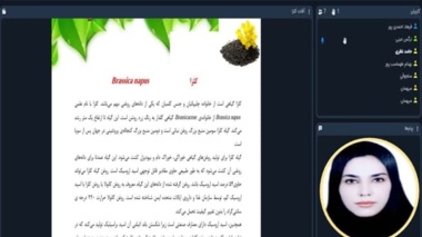 بررسی راهکارهای شناخت و مدیریت آفات کلزا در «استودیو کشاورز»