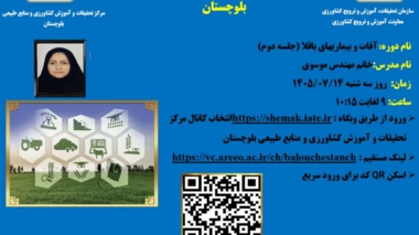 وبینار آموزشی «بیماری های ویروسی و باکتریایی باقلا و بررسی تنش‌های مختلف بر تاثیر عملکرد باقلا»