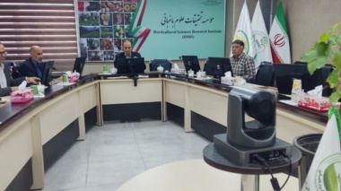تأکید بر گذار به تولید نهال پیوندی انگور در کشور