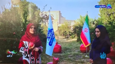 معرفی ظرفیت‌های انار ساوه در برنامه زنده «ایران ما» از شبکه سه سیما