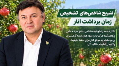 عضو هیات علمی پژوهشکده مرکبات و میوه‌های نیمه‌گرمسیری بر برداشت به‌ موقع انار برای حفظ کیفیت و کاهش ضایعات تاکید کرد