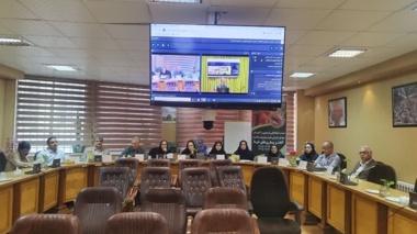 گامی ملی برای مقابله با آفات نخل خرما؛ برگزاری نشست تخصصی سرخرطومی حنایی در استان کرمان