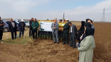 عملیات کاشت مزرعه الگویی گندم آبی در روستای نیار اردبیل اجرا شد