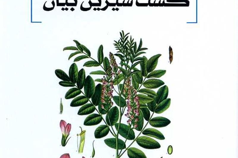 بسته کارآفرینی کشت شیرین بیان
