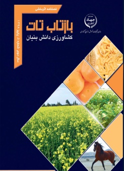 فصلنامه شماره 5