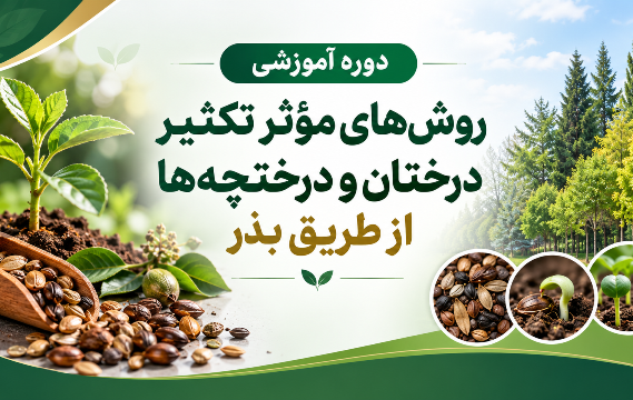برگزاری دوره آموزشی روش‌های مؤثر تکثیر درختان و درختچه‌ها از طریق بذر در مرکز آموزش عالی امام خمینی(ره)