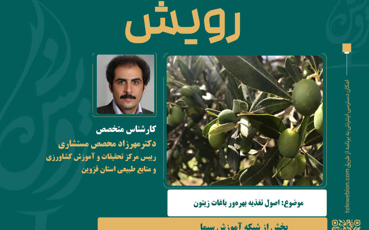 پخش برنامه تلویزیونی آموزشی و ترویجی رویش؛ اصول تغذیه بهره ور ی باغات زیتون