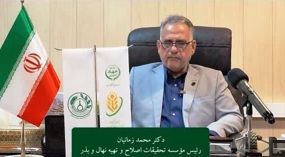 زمانیان: تجاری‌سازی ارقام جدید، گامی مؤثر در ارتقای بهره‌وری کشاورزی است