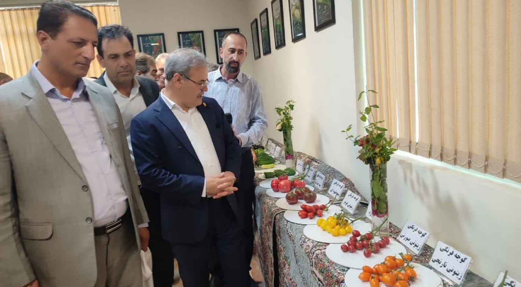 دستاورد راهبردی تات برای تقویت امنیت غذایی به بخش تولید منتقل شد