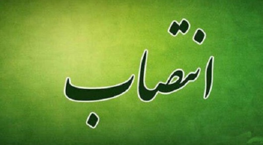 انتصاب دکتر مژگان کوثری به عنوان مدیر کل دفتر امور فناوری سازمان
