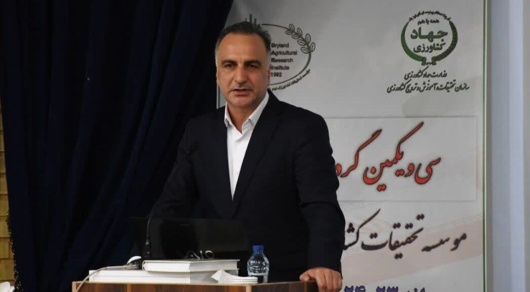 معاون امور زراعت وزارت جهاد کشاورزی خبر داد: