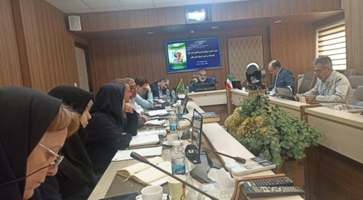 تات سلاح دانش می‌سازد؛ نبرد بی‌امان با تغییرات اقلیمی در مزارع ایران