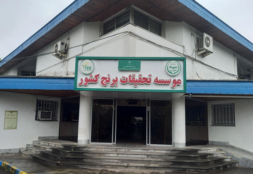 موسسه تحقیقات برنج کشور