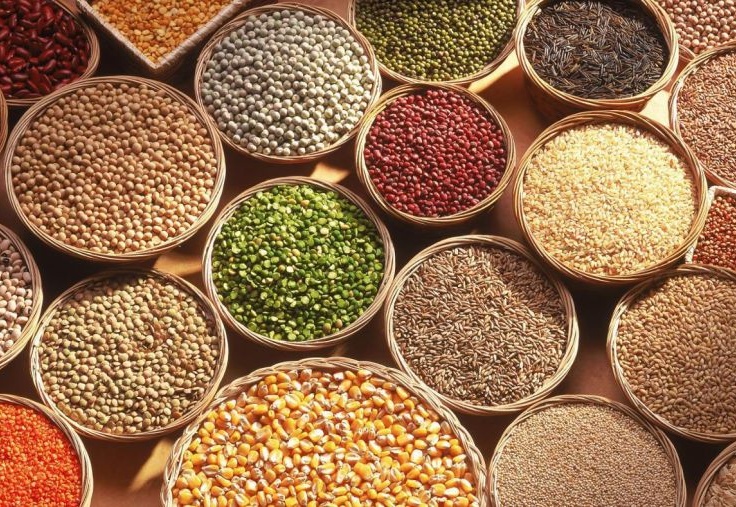 موسسه تحقیقات ثبت و گواهی بذر و نهال