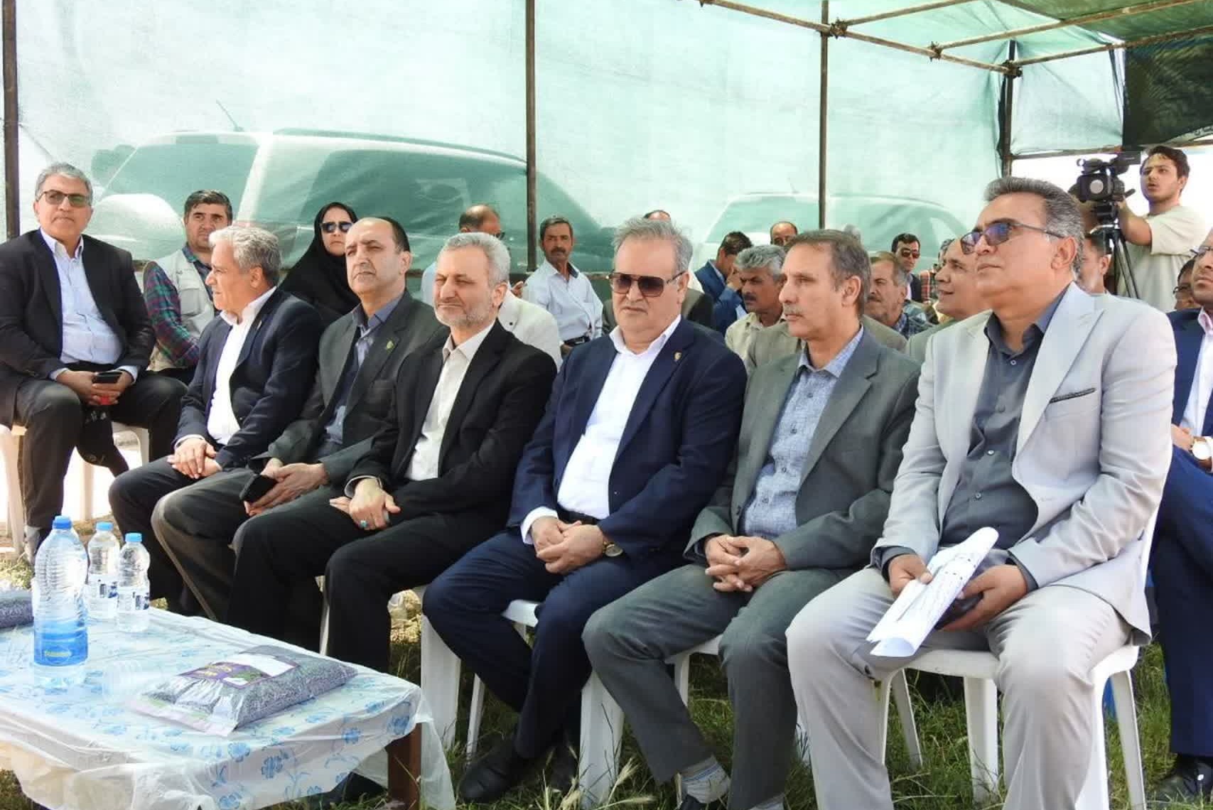 رونمایی از نخستین مزرعه الگویی کشت پنبه در خراسان شمالی