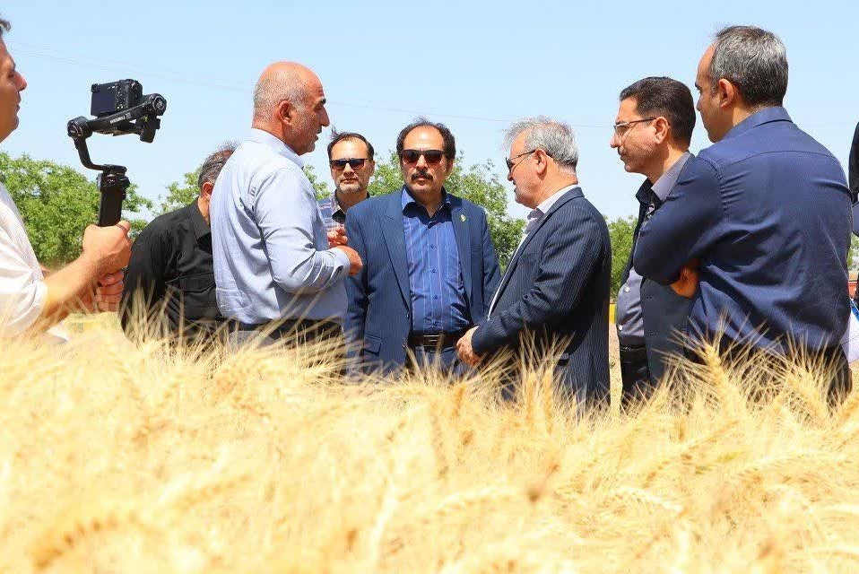 بازدید معاون وزیر جهاد کشاورزی از ظرفیت‌های پژوهشی، فناورانه و تولیدی مرکز تحقیقات و آموزش کشاورزی و منابع طبیعی استان قزوین