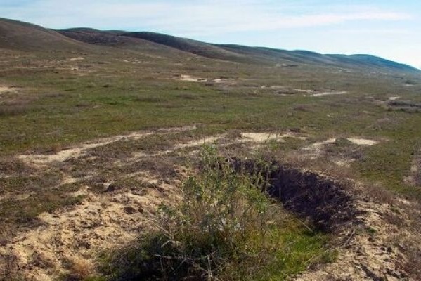 بهره‌برداری اقتصادی مناطق بیابانی فقط در زمین‌های کشاورزی