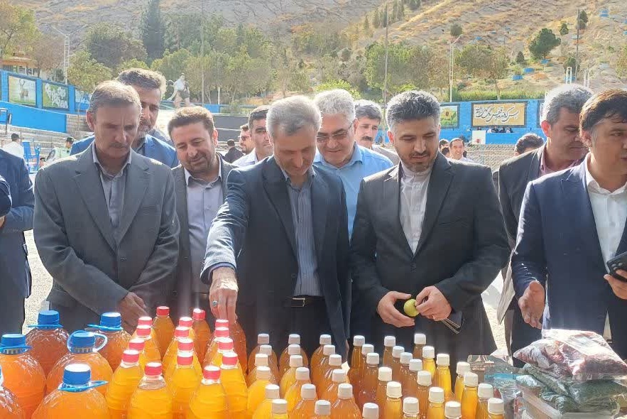 پنل تخصصی رویداد دانش‌بنیان سیب شیروان، امروز در محل هتل رضا شیروان برگزار شد.