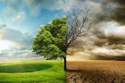 تغییر زمان برگزاری همایش تغییر اقلیم به دلیل مصوبه کمیته اضطرار آلودگی هوا