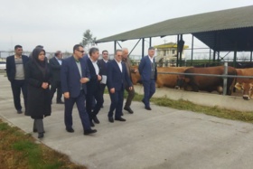 بازدید معاون وزیر و رئیس سازمان تات، دکتر گل محمدی به همراه مدیر کل دفتر حوزه ریاست دکتر قاسمی بزدی و مشاور در امور موسسات دکتر محمدپور از مؤسسه تحقیقات پنبه کشور