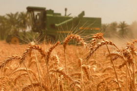 انتشار اولین شماره مجله ترویجی بهره‌وری در کشاورزی و منابع طبیعی