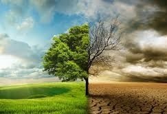 سلسله نشست های هماهنگی برگزاری همایش تغییر اقلیم