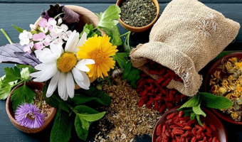 پژوهشگر تات از ثبت یک گنجینه سبز خبر داد؛پژوهشگران تات ۸۰۰ گونه گیاه دارویی را مستندسازی کردند