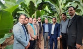 امکان سنجی راه اندازی اولین هنرستان جوار صنعت گلخانه در یزد
