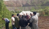 برگزاری سه دوره آموزشی در کردستان برای توانمندسازی بهره‌برداران؛ گامی در مسیر تحقق «سال آموزش و ترویج تات»