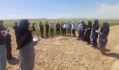 رونمایی از ارقام برتر غلات و حبوبات در شیروان؛ نسخه تات برای جهش تولید در دیمزارهای خراسان شمالی