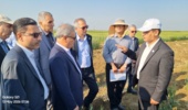 گزارش تصویری/بازدید از ایستگاه تحقیقات کشاورزی مغان، در جریان بیست‌ و یکمین سفر استانی معاون وزیر جهاد کشاورزی و رئیس سازمان تات