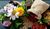 پژوهشگر تات از ثبت یک گنجینه سبز خبر داد؛پژوهشگران تات ۸۰۰ گونه گیاه دارویی را مستندسازی کردند
