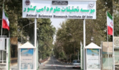 موسسه تحقیقات علوم دامی کشور