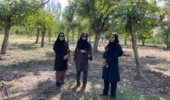 بازدید محققین مرکز تحقیقات و آموزش کشاورزی و منابع طبیعی استان کرمان از شهرستان رابر