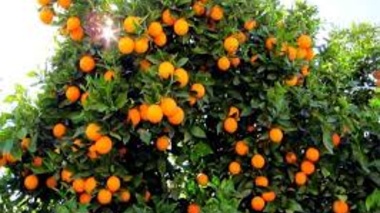 ایستگاه تحقیقات ۲