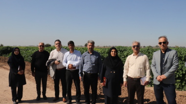 در سفر استانی رییس موسسه تحقیقات گیاه‌پزشکی کشور به استان خوزستان؛