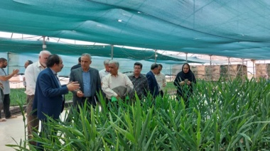 در سفر رییس موسسه تحقیقات گیاه‌پزشکی کشور به استان قزوین؛