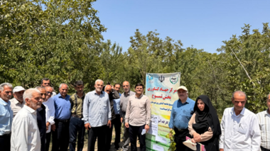 گامی برای ارتقای کیفیت و مقاومت محصولات