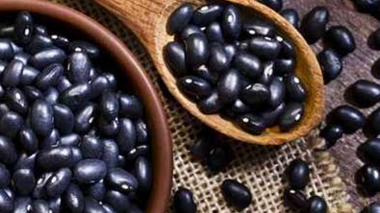 از بانک ژن تا مزرعه؛ نخستین ارقام لوبیای سیاه ایرانی آماده ورود به چرخه تولید