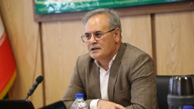 گل محمدی