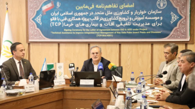 افزایش بهره‌وری و انتقال دانش؛ محور همکاری‌های مشترک تات و فائو