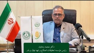زمانیان: تجاری‌سازی ارقام جدید، گامی مؤثر در ارتقای بهره‌وری کشاورزی است